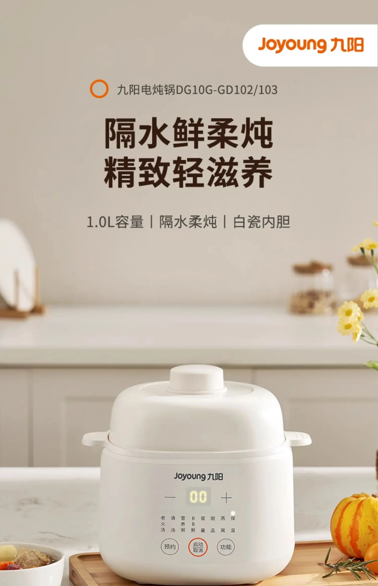 220V 전기 스튜 냄비 세라믹 수프 밥솥 이유식 기선 - Baby Food Steamer 리뷰 및 가격