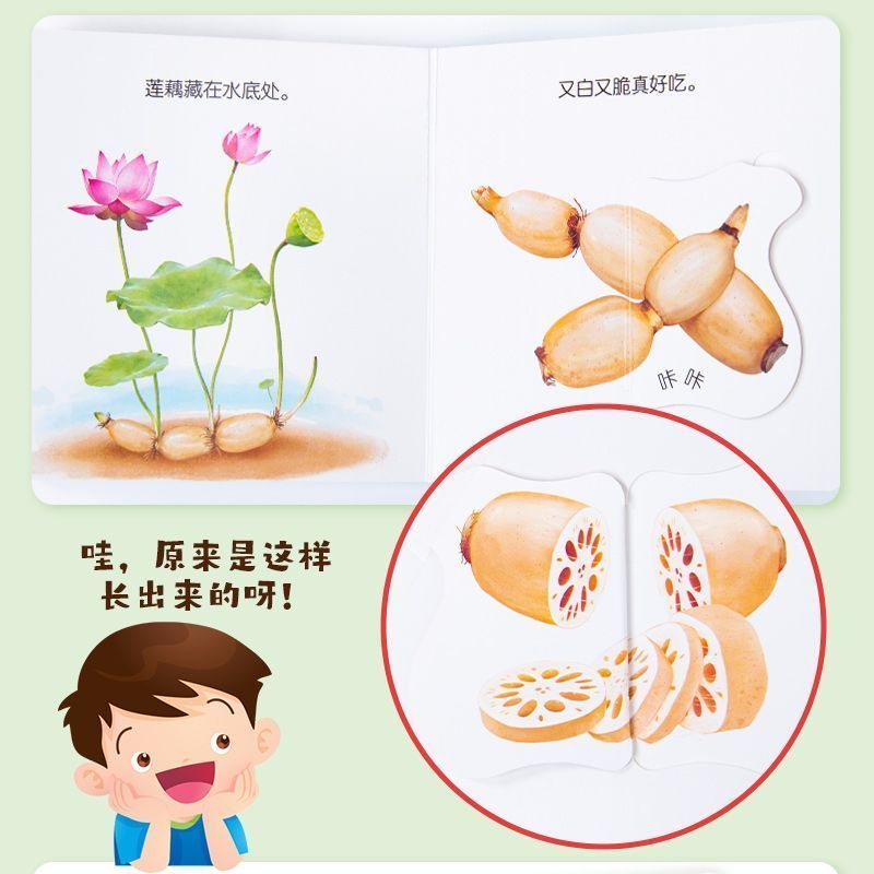 유아식 교육 플립북 - 0~6세 아기를 위한 좋은 음식 - Baby Food Year Old 리뷰 및 가격